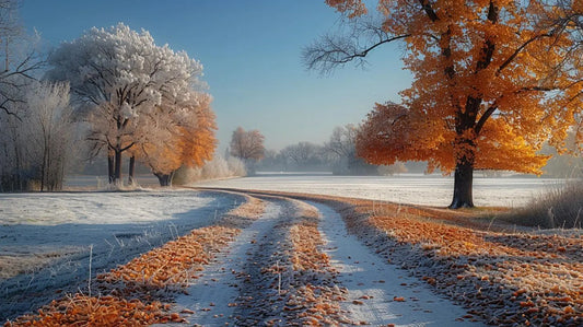 Autumn's Golden Embrace | Frosty Morning HD Metal Print - Roclla Media Art