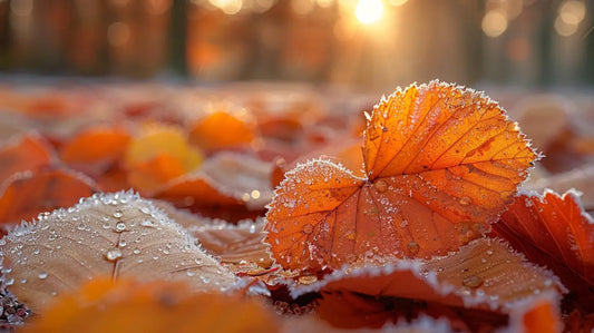 Icy Veins of Autumn | Textured Leaves HD Metal Print - Roclla Media Art